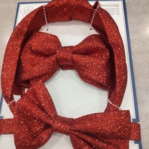 Family and pet accessories red sequins
